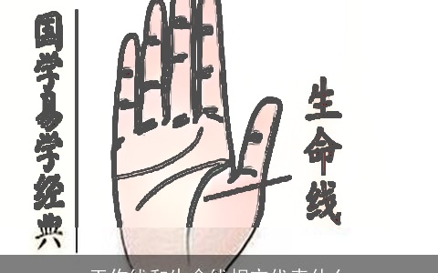 工作线和生命线相交代表什么