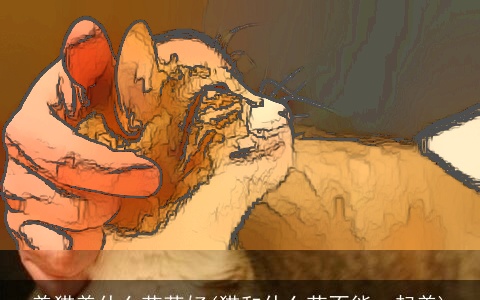 养猫养什么花草好(猫和什么花不能一起养)