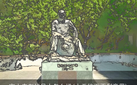 寅山申向的风水怎么样(人无往而不利意思)