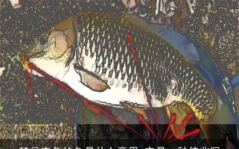 梦见赤色的鱼是什么意思 它是一种佳兆吗