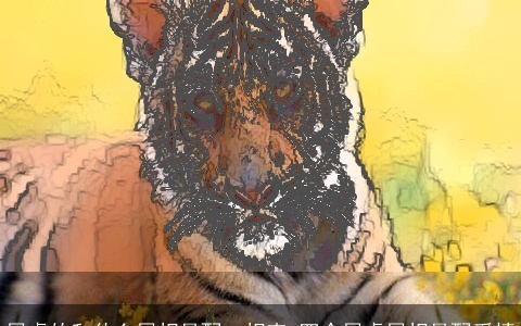 属虎的和什么属相最配、相克 四个属虎属相最配爱情