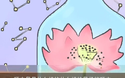 旺夫鼻是什么样的什么样的鼻子能旺夫