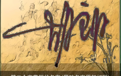 第二个字带朗的名字(男孩名字用朗好吗)