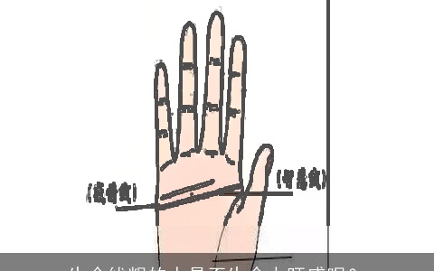 生命线粗的人是否生命力旺盛呢？