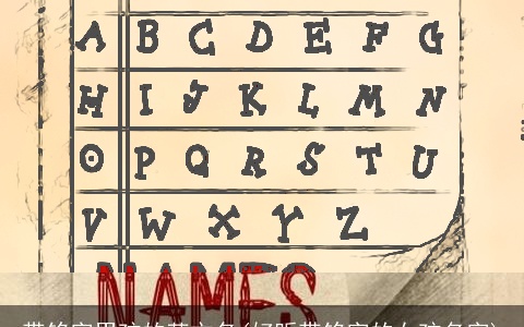 带铭字男孩的英文名(好听带铭字的女孩名字)