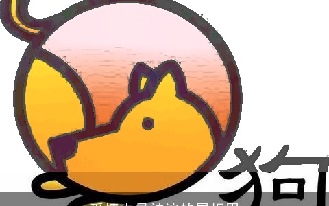 爱情中最被迫的属相男