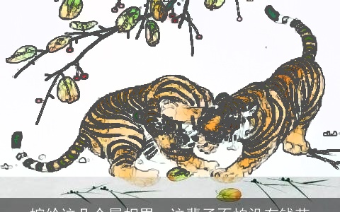 嫁给这几个属相男，这辈子不怕没有钱花