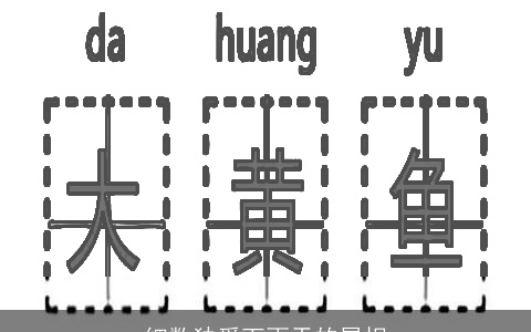 细数独爱下雨天的属相