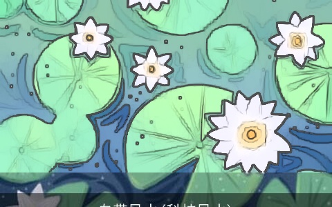 自带风水(科技风水)