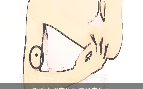 手臂内侧有朱砂痣代表什么