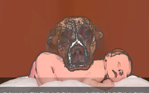 狗年出生的男孩取什么名字好(2023年属狗的名字带什么字好)