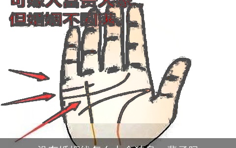 没有婚姻线怎么办会独身一辈子吗