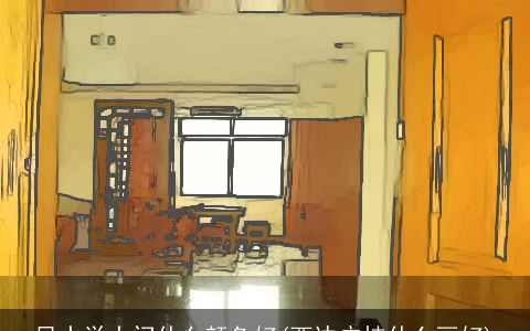 风水学大门什么颜色好(西边户挂什么画好)