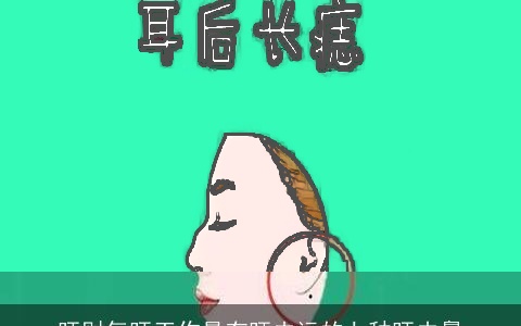 旺财气旺工作最有旺夫运的七种旺夫鼻