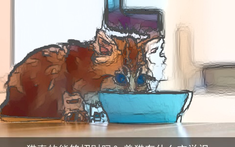 猫真的能够招财吗？养猫有什么玄学识