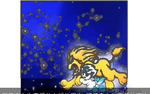 狮子座女生喜爱什么样的男生_狮子座女生喜爱的男生