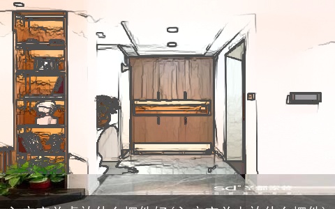 入户玄关桌放什么摆件好(入户玄关上放什么摆件)