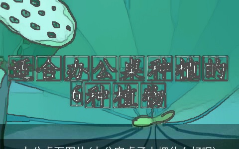 办公桌面图片(办公室桌子上摆什么好呢)