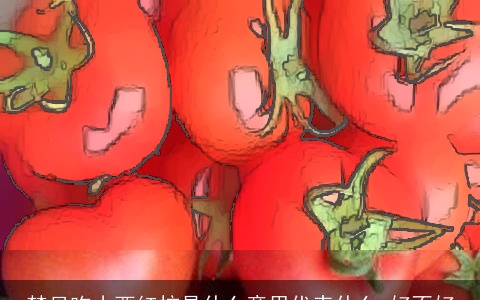 梦见吃小西红柿是什么意思代表什么 好不好