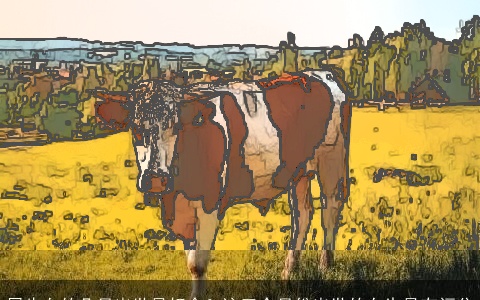 属牛女的几月出世最好命？这三个月份出世的女生最有福分