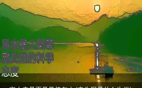 寅山申是不是最佳向山(申为猴是什么生肖)