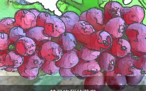 梦见吃甜的葡萄