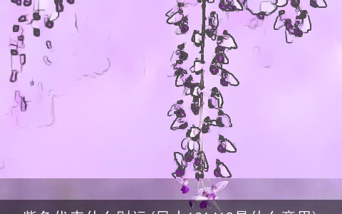 紫色代表什么财运(风水131419是什么意思)