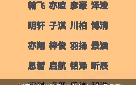 中间带志的男孩名(志开头的男孩名名字)