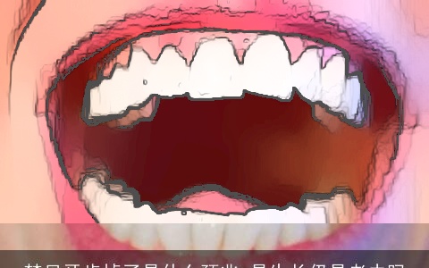 梦见牙齿掉了是什么预兆 是生长仍是老去吗