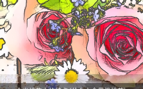 命坐桃花人的特点(什么人命里没桃花)