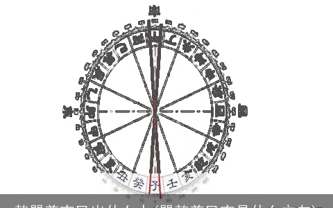 乾巽兼亥巳出什么水(巽乾兼巳亥是什么方向)