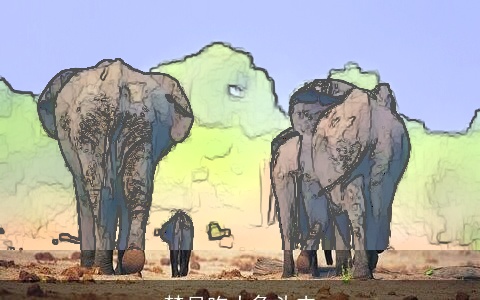 梦见吃大象头肉