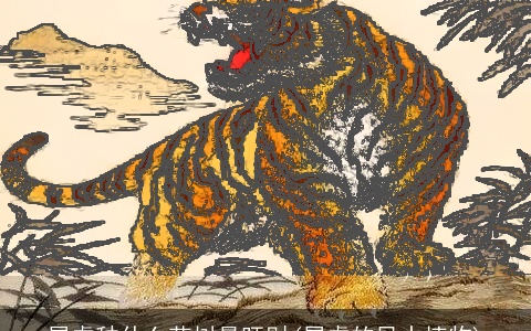 属虎种什么花树最旺财(属虎的风水植物)