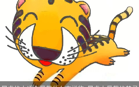 属虎的人适合佩戴什么吉祥物 属虎人佩戴的禁忌