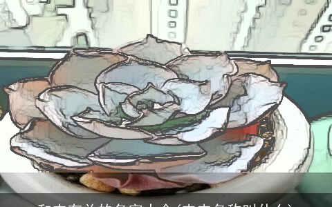 和肉有关的名字大全(肉肉名称叫什么)