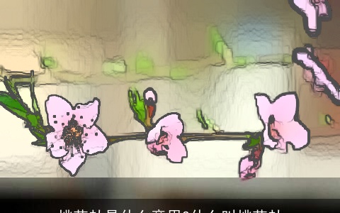 桃花劫是什么意思?什么叫桃花劫