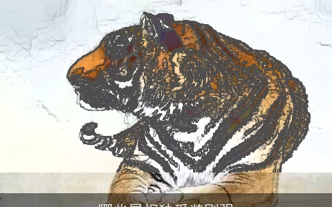 哪些属相独爱装刚强