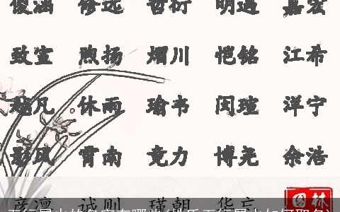 五行属火的名字有哪些(姓氏五行属火如何取名)