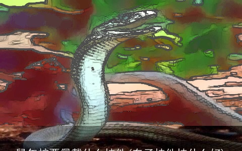 鼠年蛇要佩戴什么挂件(车子挂件挂什么好)