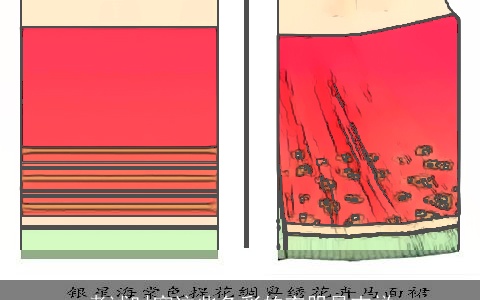 考试时穿这些色彩的衣服最吉祥