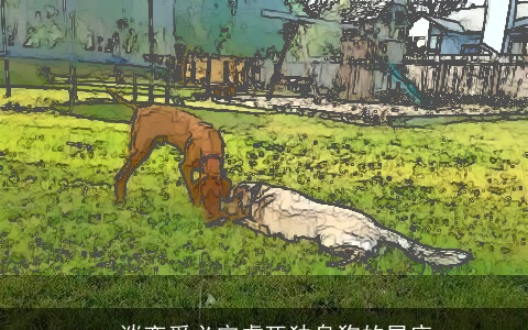 一谈恋爱必定虐死独身狗的星座