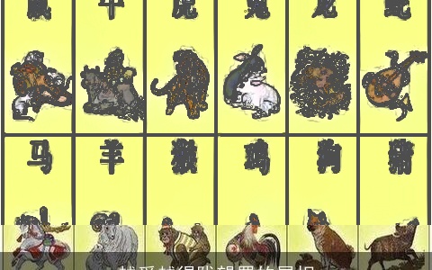 越爱越得陇望蜀的属相