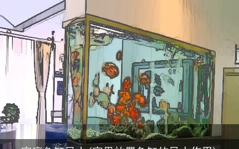 家庭鱼缸风水(家里放置鱼缸的风水作用)