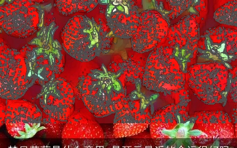 梦见草莓是什么意思 是预示最近的命运很好吗