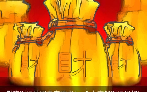 影响财运的因素有哪些(一个人突然财运很好)