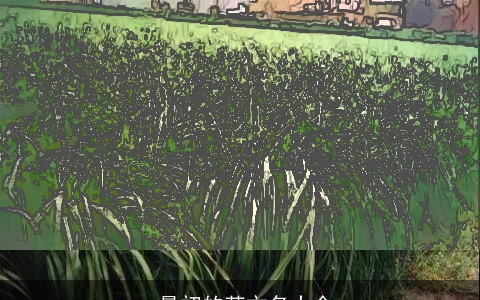 s最初的英文名大全