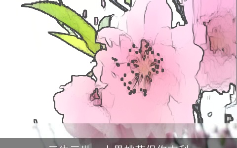 三生三世，十里桃花保你吉利