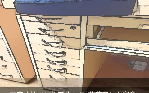 葫芦放抽屉里代表什么(种葫芦有什么寓意)