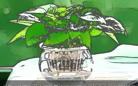 大门口外面摆什么植物风水好(大门口摆放什么植物比较好)