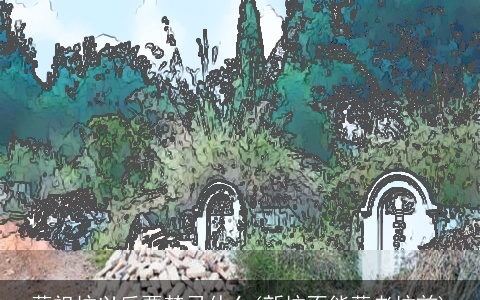 葬祖坟以后要禁忌什么(新坟不能葬老坟前)